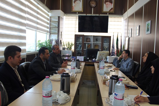 بازدید بیمه ای