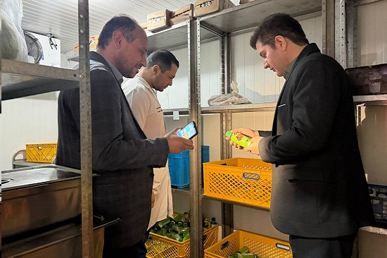 بازدید تغذیه