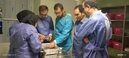  بازدید گروه آموزشی بیماری‌های گوش،حلق و بینی و جراحی سر و گردن دانشگاه علوم پزشکی شیراز از بخش‌های بیمارستان امیرالمؤمنین(ع) 