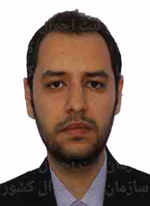  محمد اسماعیلی فرید مسئول فناوری اطلاعات